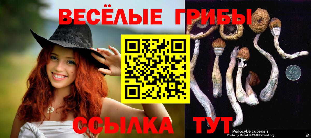 Кубинка  Галлюциногенные грибы MAGIC MUSHROOMS  Псилоцибиновые грибы Psilocybe  Вход с VPN 